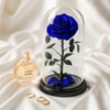 Blue rose in a glass dome with Chanel perfume and rings on a white fabric background