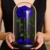 Blue rose inside a glass dome held by a person
