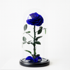Blue rose in a glass dome on a white background