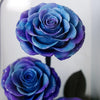Two blue and purple roses inside a glass dome on a plain background