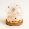 Decorative glass globe with preserved flowers and LED lighting on a white background