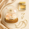preserved flowers dome on a beige fabric background