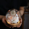 Glass dome with preserved flowers held by a person against a dark background