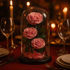 Preserved Rose Glass Dome – Tower – Dusty Pink - 3 Roses