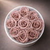 preserved rose center detail, tight bloom, high quality flower