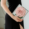 Giant Preserved Rose in Acrylic Box – Dusty Pink