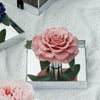 Giant Preserved Rose in Acrylic Box – Dusty Pink