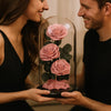 Preserved Rose Glass Dome – Tower – Dusty Pink - 3 Roses