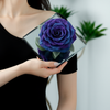 Giant Preserved Rose in Acrylic Box – Galaxy Blue