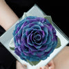 Giant Preserved Rose in Acrylic Box – Galaxy Blue