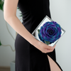 Giant Preserved Rose in Acrylic Box – Galaxy Blue