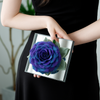 Giant Preserved Rose in Acrylic Box – Galaxy Blue