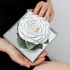 Giant Preserved Rose in Acrylic Box – White