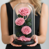 Preserved Rose Glass Dome – Tower – Dusty Pink - 3 Roses
