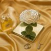 Giant Preserved Rose in Acrylic Box – White