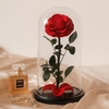 Preserved Single Large Red Rose Dome