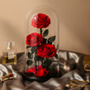 Preserved Triple Red Roses Tower Dome