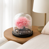 Preserved Carnation Glass Dome – “Mom, I Love You” Edition - Pink