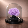 Mother’s Day Carnation Dome