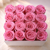 preserved rose center detail, tight bloom, high quality flower