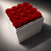 White box filled with red preserved roses, elegant gift for her