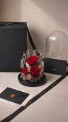 3 red preserved rose glass dome gift unboxing video