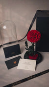 preserved rose dome red, luxury gift, real rose preserved, Australia, unboxing video