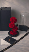 preserved roses in glass dome, luxury gift box, unboxing video