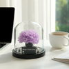 Purple flower in a glass dome on a desk with a laptop and coffee cup.