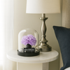 Decorative purple flower in a glass dome on a nightstand next to a lamp.
