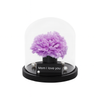 Purple flower in a glass dome with 'Mom I love you' message on a white background
