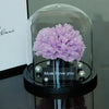 Purple flower arrangement in a glass dome with 'Mom I love you' message on a reflective surface.