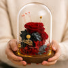 Glass dome with red preserved roses and decorative elements held by a person