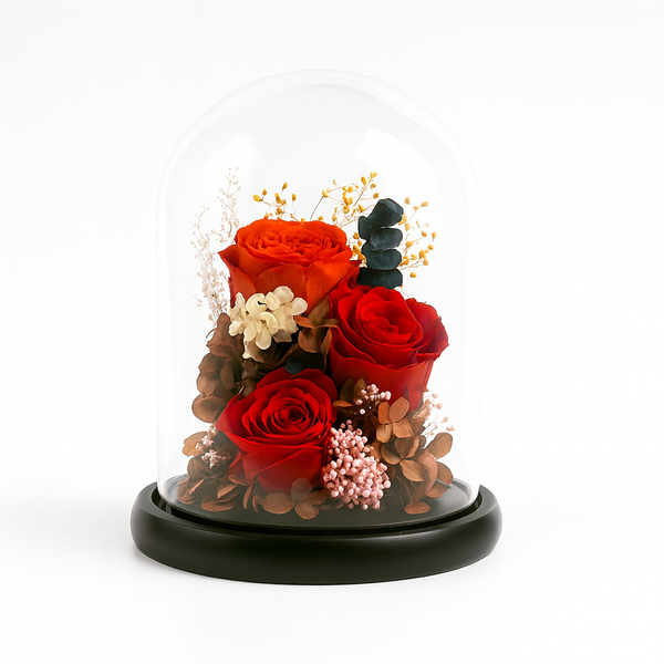 Decorative arrangement of red preserved roses and other flowers in a glass dome on a white background