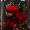 Bouquet of red preserved roses and other flowers under a glass dome