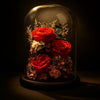Red roses and other preserved flowers under a glass dome on a dark background