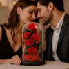 Couple looking at red preserved roses under a glass dome