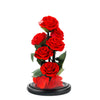 Red preserved roses on a black stand against a white background
