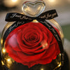 Red preserved rose in a glass dome with a black ribbon and 'Just for you' text.