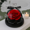 Red preserved rose in a glass dome with a black ribbon on a white surface.