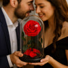 Couple holding a red rose under a glass dome