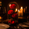 Red roses under a glass dome on a romantic dinner setting with candles and wine glasses.