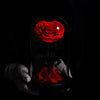 Red rose under a glass dome held by a gloved hand against a black background