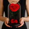 Red rose in a glass dome held by a person against a neutral background
