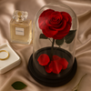 Red rose in a glass dome on beige fabric