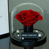 Red rose under a glass dome with 'Mom I love you' message on a reflective surface.