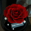 Red rose with 'Mom I love you' message on a dark background