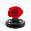 Red rose under a glass dome with 'Mom I love you' message on a white background