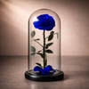 preserved  blue rose gift glass dome, premium box, long lasting roses