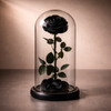 preserved black rose glass dome, elegant gift for her